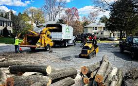 Trusted Pea Ridge, FL Tree Removal and Landscaping Services Experts